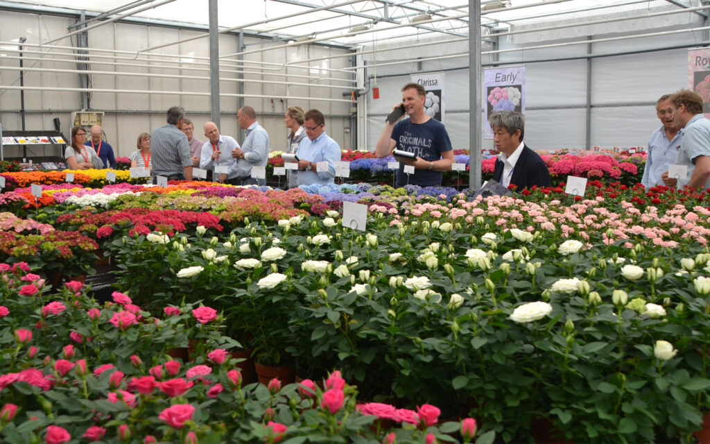FlowerTrials Agriom 2018